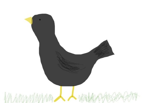 Since I've written this text (some three weeks ago) it seems as if all of the blackbirds have vanished from our garden. Now I've had enough of waiting for a photo opp, so I've just drawn one. I bet this is just one of their devious plans to mock me...