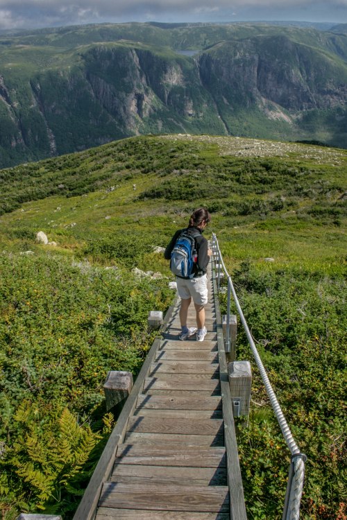 NewFoundland (19 of 20)