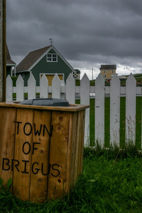 NewFoundland (7 of 20)