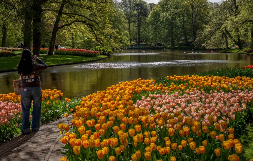 Keukenhof (15 of 26)