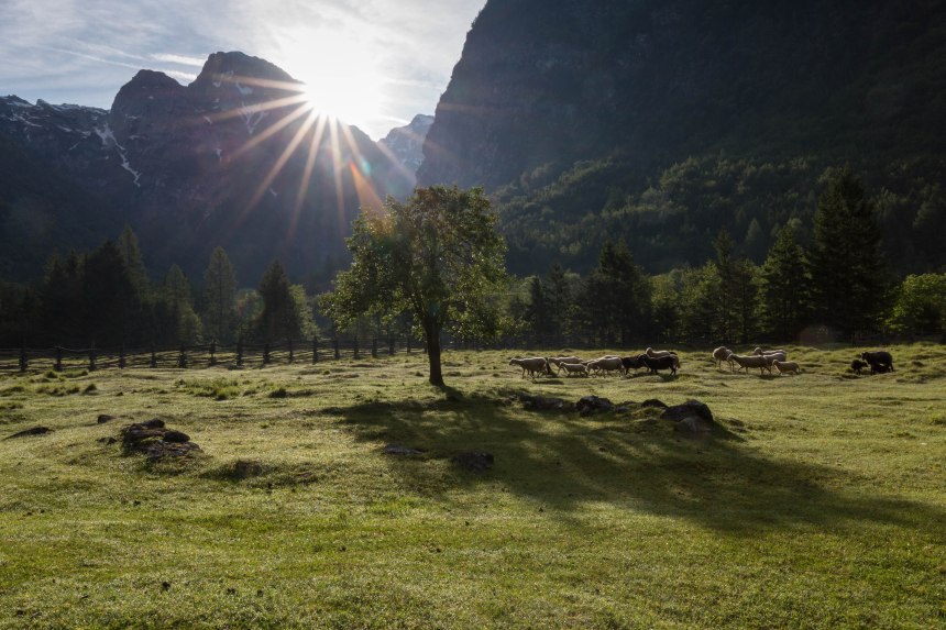Trenta valley, Slovenia