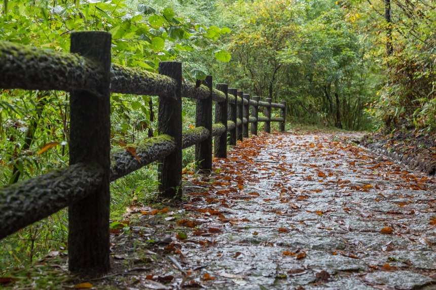 Magome - Tsumago trail
